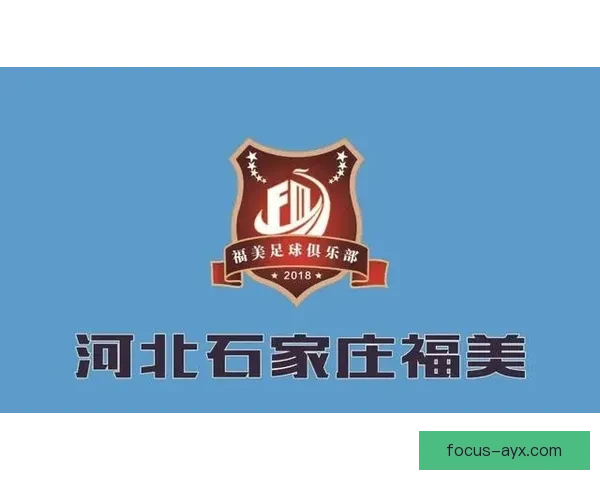 北京联赛各支球队全面盘点与实力解析